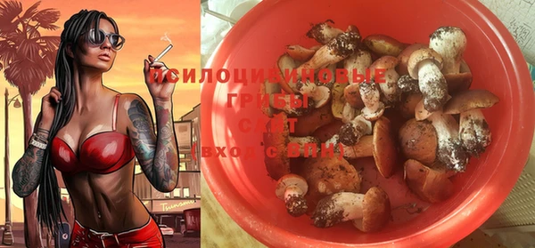 гашик Зерноград