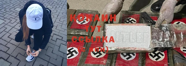 гашик Зерноград