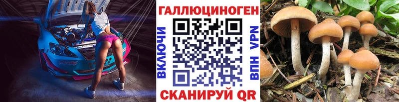 где купить наркоту  Спасск-Рязанский  Псилоцибиновые грибы Cubensis 
